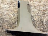 (B) pillar trim (bottom)