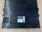 Engine control unit/module ECU