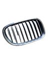 Front bumper upper radiator grill