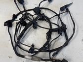 Other wiring loom