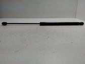 Tailgate/trunk strut/damper