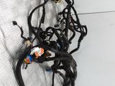 Other wiring loom