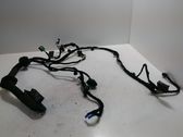 Front door wiring loom