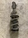 Front shock absorber with coil spring