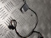Other wiring loom