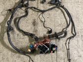 Other wiring loom