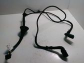Other wiring loom