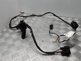 Other wiring loom