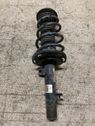 Front shock absorber with coil spring