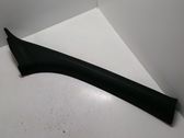 (A) pillar trim