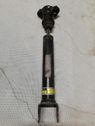 Rear shock absorber/damper