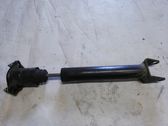 Rear shock absorber/damper