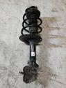 Front shock absorber with coil spring