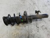 Front shock absorber with coil spring