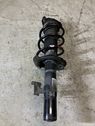 Front shock absorber with coil spring