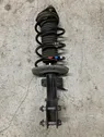 Front shock absorber with coil spring