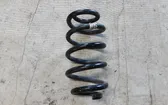 Rear coil spring