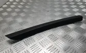 Rear door glass trim molding