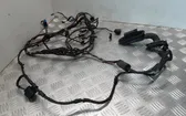 Front door wiring loom
