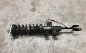 Front shock absorber with coil spring