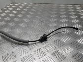 Línea de cable de puerta trasera
