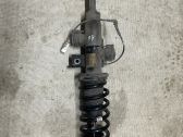 Front shock absorber with coil spring