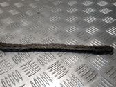 Oil pump chain