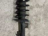 Front shock absorber with coil spring