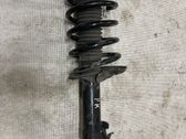Front shock absorber with coil spring
