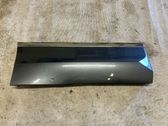 Rear door trim (molding)