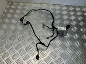 Rear door wiring loom