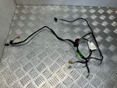 Rear door wiring loom