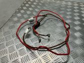 Other wiring loom