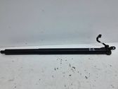 Tailgate/trunk strut/damper