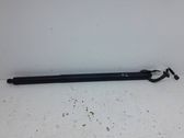Tailgate/trunk strut/damper