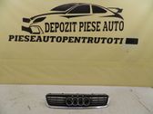 Front bumper lower grill