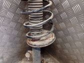 Front shock absorber with coil spring