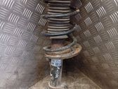 Front shock absorber/damper