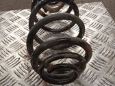 Muelle espiral delantero
