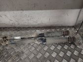 Rear shock absorber/damper
