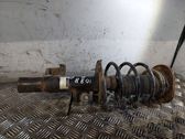 Front shock absorber with coil spring