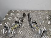 Tailgate/trunk/boot hinge