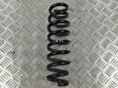 Rear coil spring