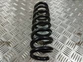 Rear coil spring