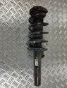 Front shock absorber with coil spring