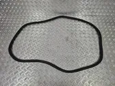 Rear door rubber seal (on body)