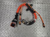 Other wiring loom