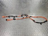 Other wiring loom
