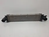 Intercooler radiator