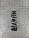 Rear coil spring